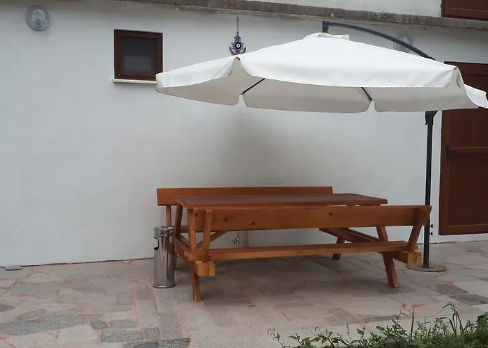 Chiyanno's Проживание в семье *